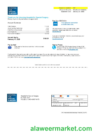 USA Ohio Hospital For Special Surgery business utility bill template in Word and PDF formats